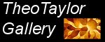 TheoTaylorGallery art gallery logo