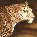 Tracy Hall Watercolours art sample