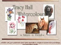 Tracy Hall Watercolours Art gallery screenshot